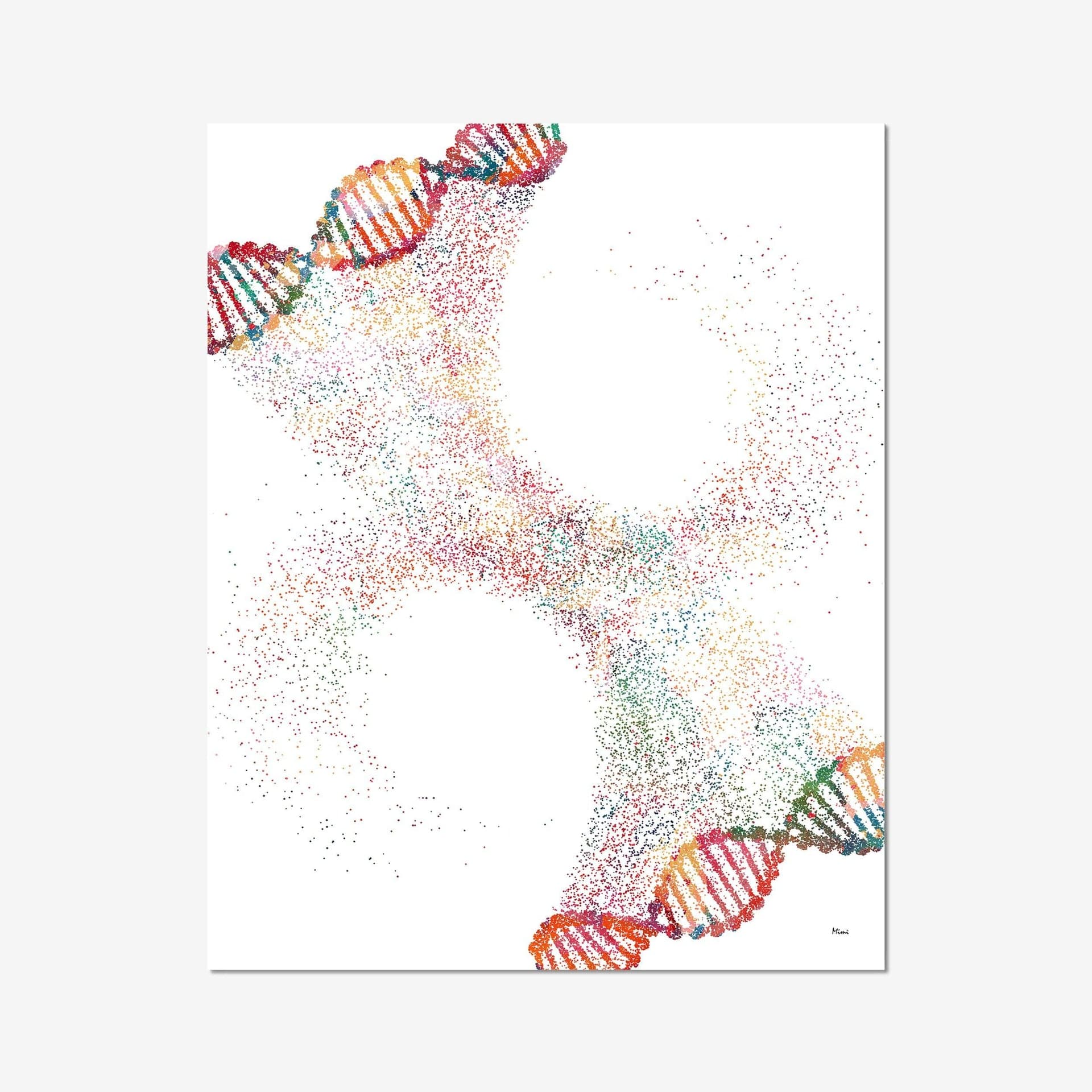 COMT DNA analysis illustration