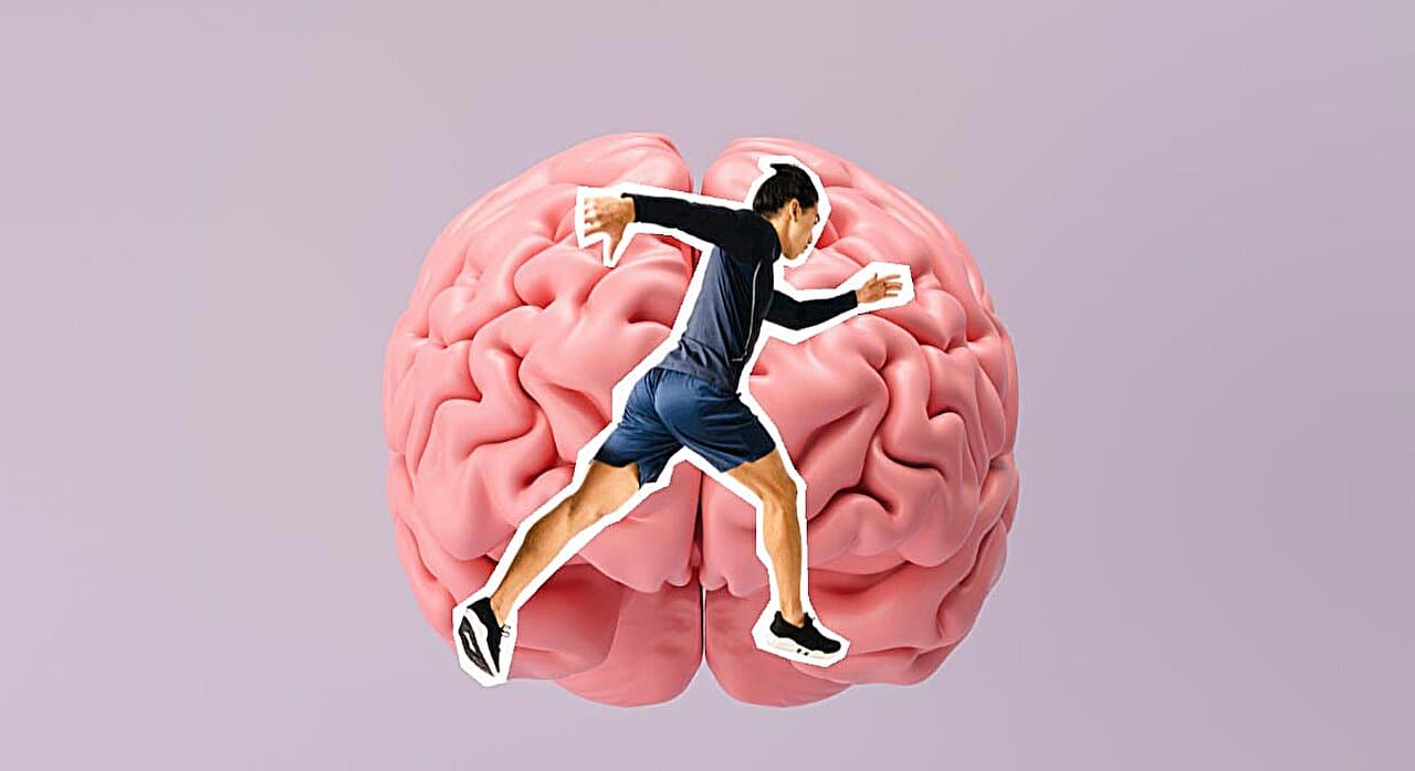 Physical activity and brain health prevention