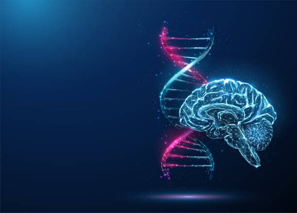 ADHD brain and DNA illustration