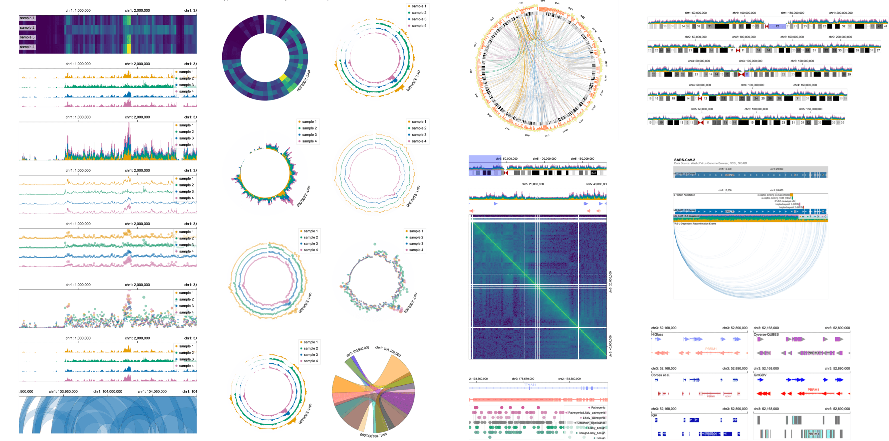 Genome data visualization showing health insights from uploaded DNA