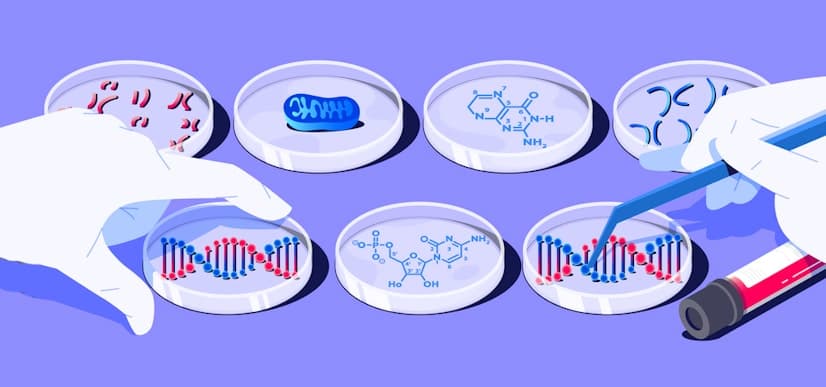 Whole genome report visualization