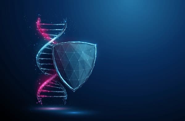 DNA helix protected by encryption shield